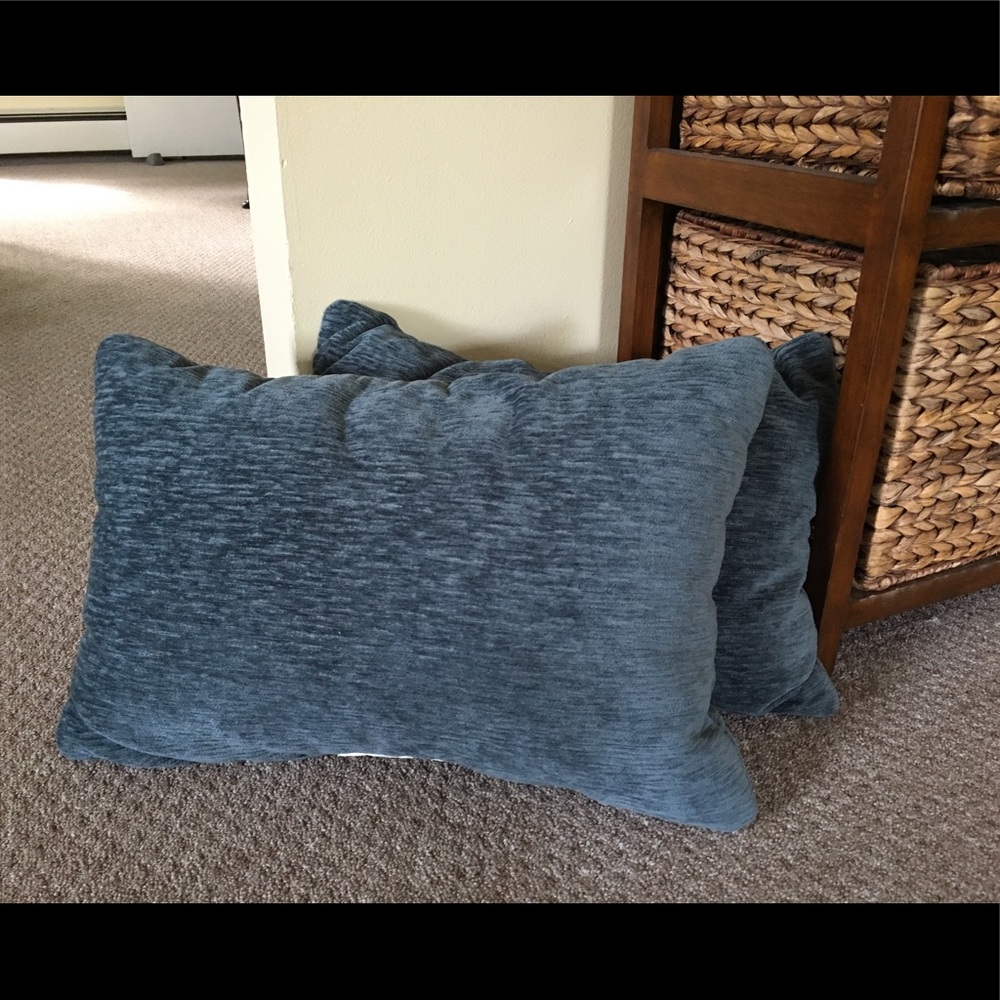 Blue Pillows - Thrift